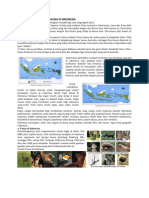 Persebaran Flora Dan Fauna Di Indonesia