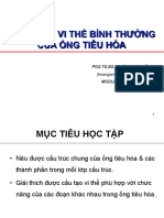 1- Cấu trúc vi thể của ống tiêu hóa - Student (17 Sep 2018) PDF