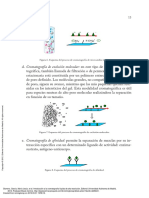 Introducción A La Cromatografía Líquida de Alta Re... - (PG 16 - 46) PDF