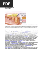 Download KANKER USUS by Akmel Suhada SN40521972 doc pdf