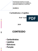 Carboidratos e Lipidios - 2019 PDF