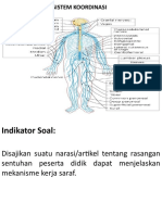 Sistem Saraf