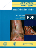 Inestabilidad Del Tobillo PDF
