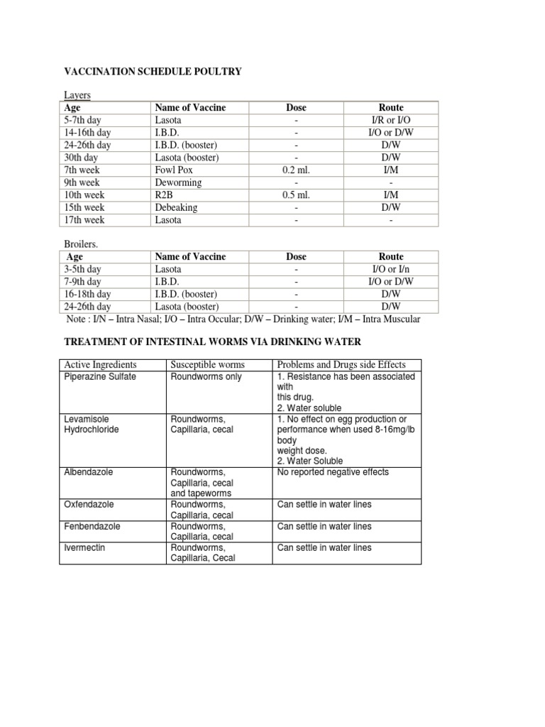 Poultry Vaccination Schedule Guide | PDF | Poultry Farming | Chicken