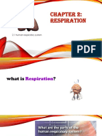 Chapter 2.1human Rspiratory System -Ntm