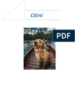 Câini.docx