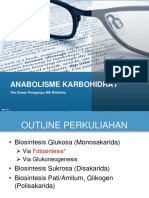 IVb. Anabolisme Karbohidrat PDF