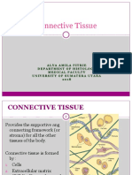 HI 2.2 - Connective Tissue