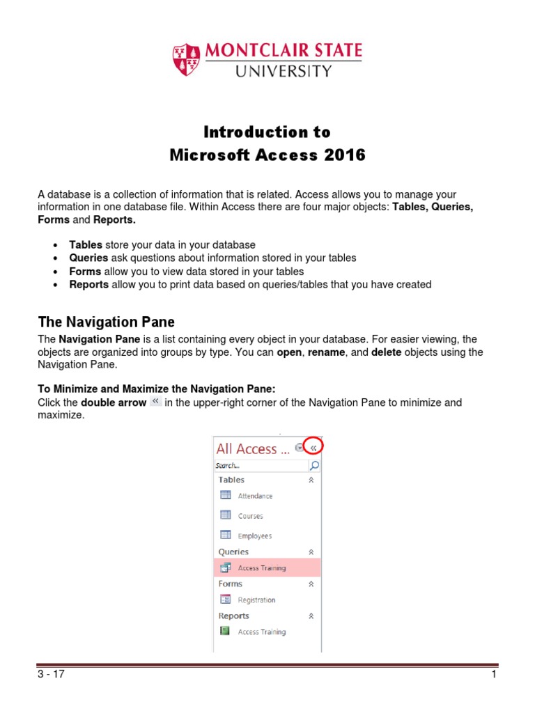 Introduction to MS Access 2016 Guide | PDF | Databases | Computer Data