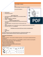 Sistem Nervos Periferic