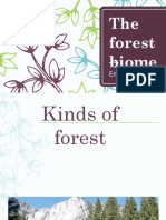 Forest Biom