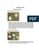 97057809-DESKRIPSI-FOSIL.pdf
