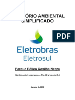 Relatório Ambiental Simplificado PDF