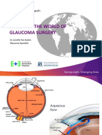 A Tour of The World of Glaucoma Surgery: Dr. Jennifer Fan Gaskin Glaucoma Specialist