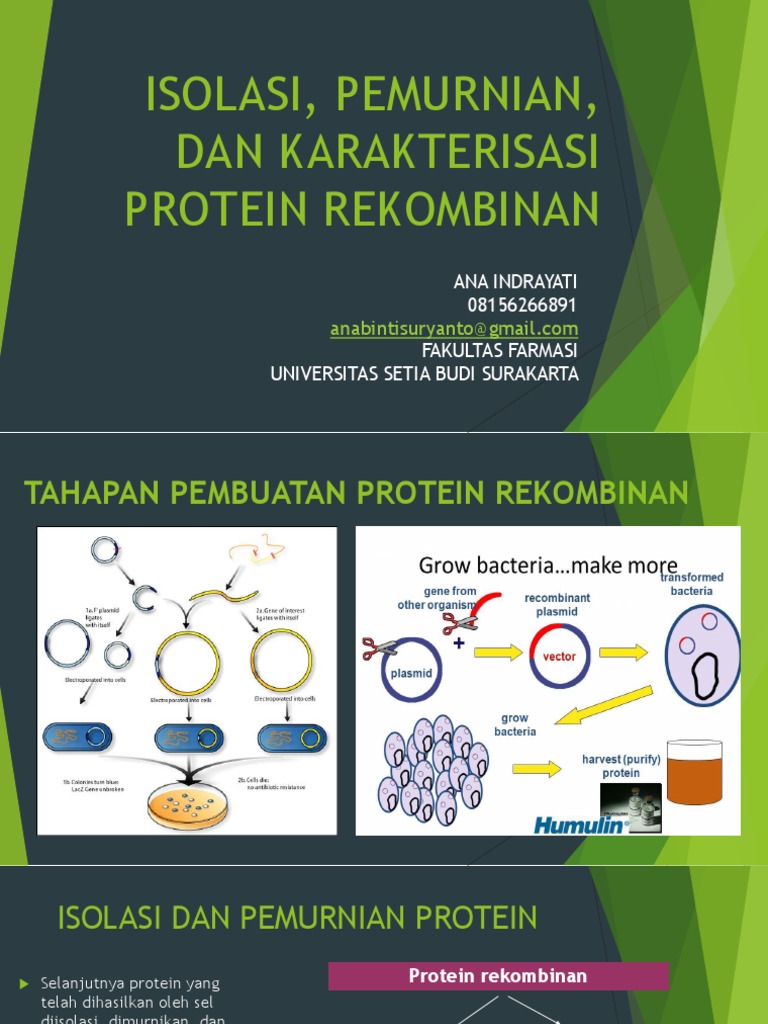 Isolasi Pemurnian Karakterisasi Protein Rekombinan Pdf