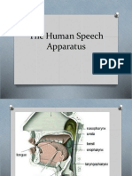 Human Speech Apparatus