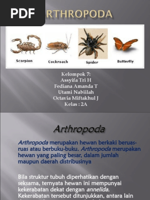 Kelompok 7 Assyifa Tri H Fediana Amanda T Utami Nabiilah Octavia