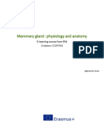 1 - Mamary Gland Physiology and Anatomy
