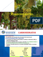 ppt bioquimica