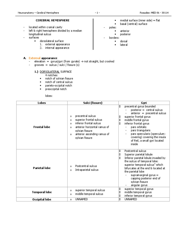 Overview of Cerebral Hemisphere Anatomy | PDF | Cerebral Cortex ...