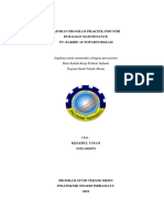 Laporan Ppi Fix PDF