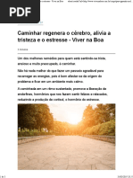 Caminhar Regenera o Cérebro, Alivia a Tristeza e o Estresse - Viver Na Boa