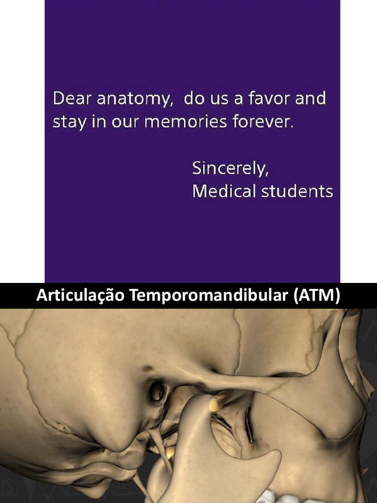 Anatomia ATM PDF | PDF | Anatomia | Anatomia humana