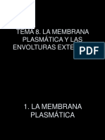 La Membrana Plasmatica