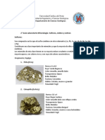 Guía Minerales PDF