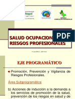 Salud Ocupacional y Riesgos Profesionales