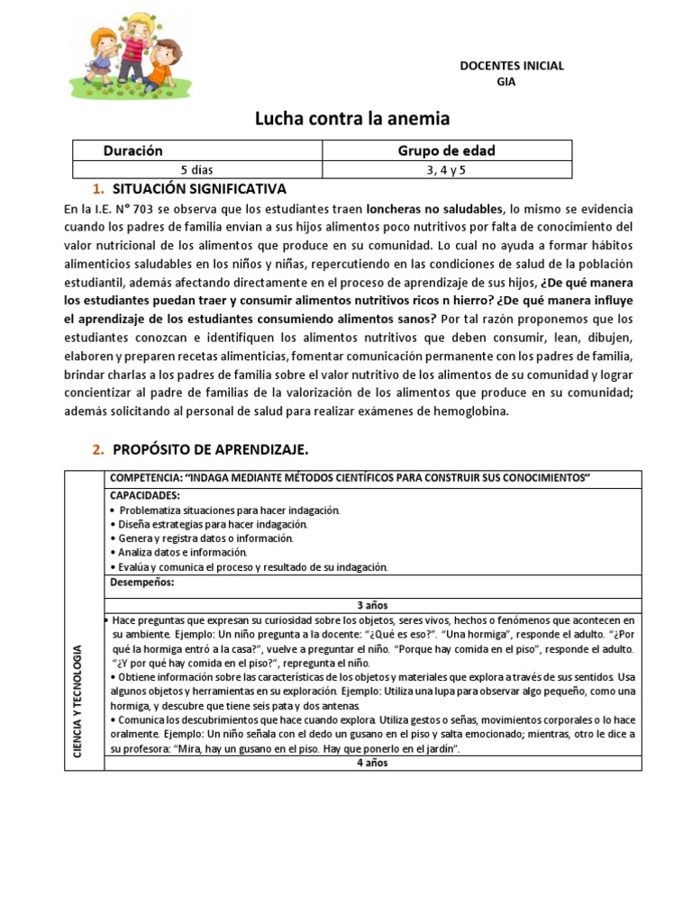 Proyecto de Prevención de Anemia Infantil | PDF | Información | Adultos