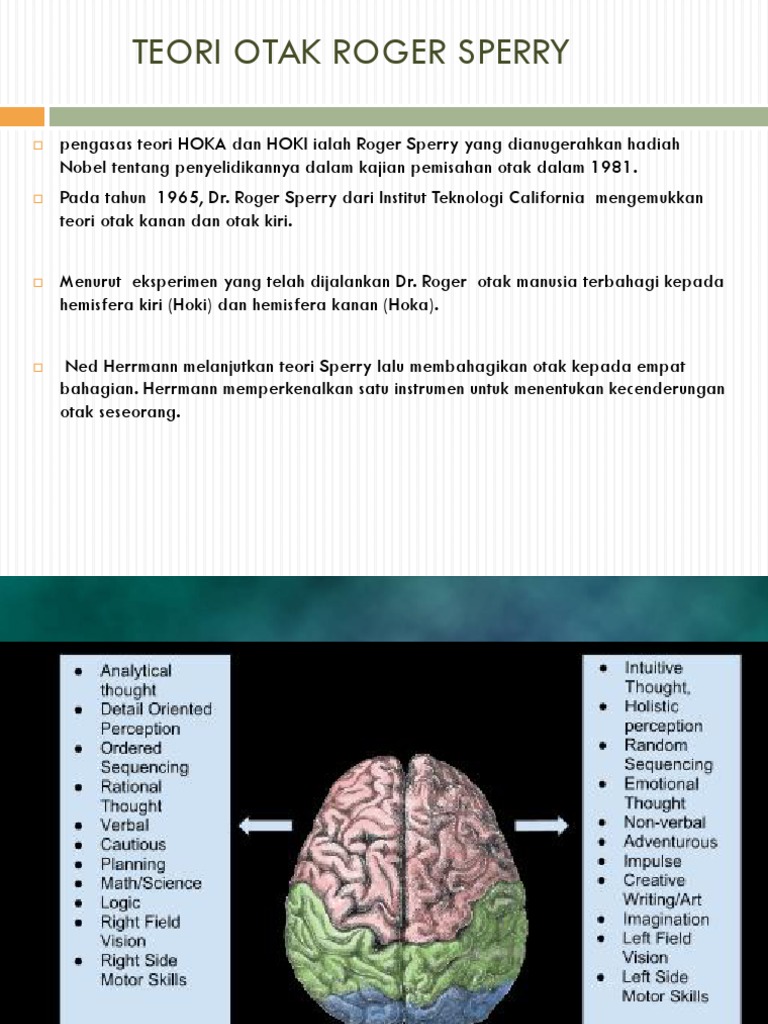 Teori Whole Brain Thinking Nedd Hermann Pdf