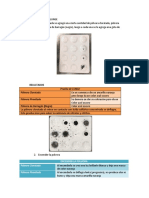 Pruebas de detección de explosivos