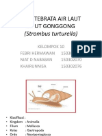 Avertebrata Air Laut