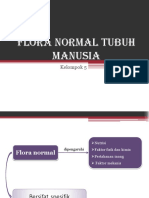 FLORA NORMAL TUBUH MANUSIA.pptx