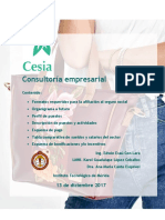 Cesia_IMSS y puestos Final.docx