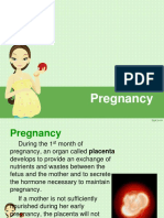 2.Diet for Pregnant