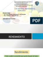 RENDIMIENTO-es1.pptx