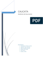 Informe de Calicata