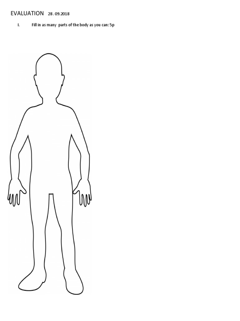 Human Body | PDF