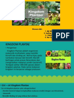 KINGDOM PLANTAE (Autosaved)