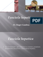 Parasitologia Fasciola Hepatica