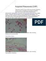 Community-Acquired Pneumonia (CAP) : Pneumoniae