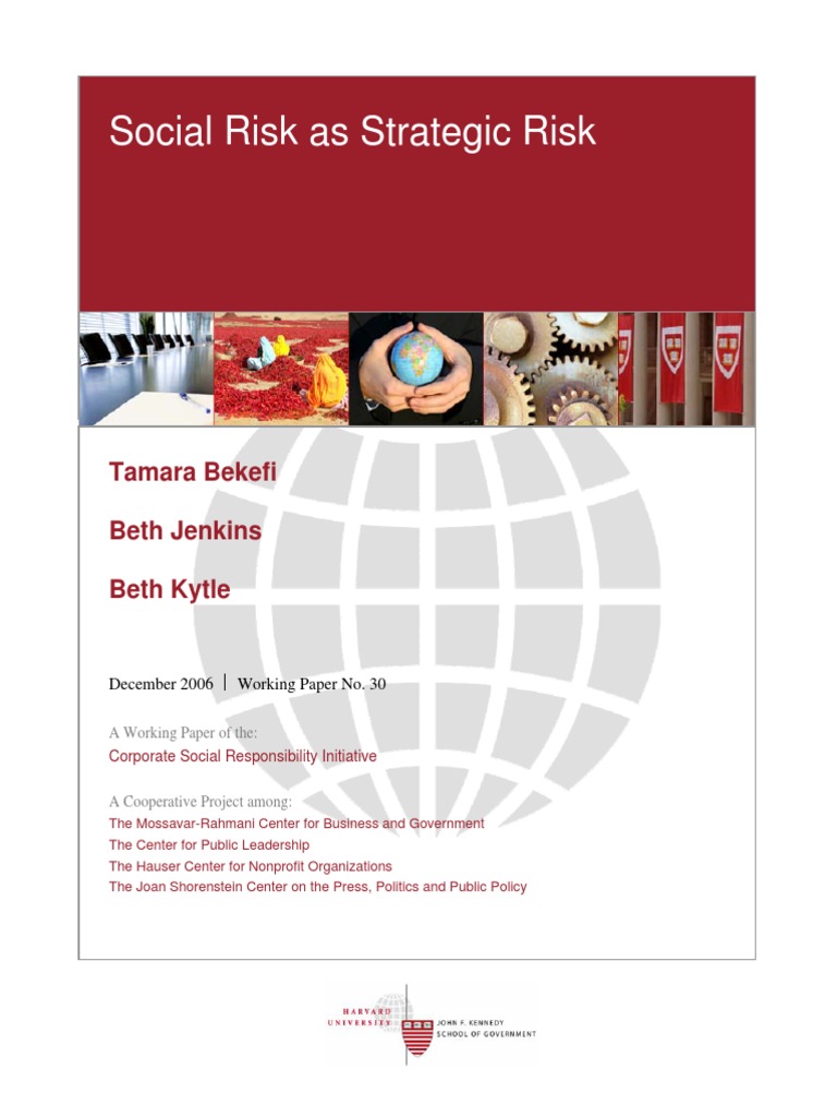 Managing Social Risk in Business Strategy | PDF | Risk Management | Risk