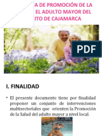 Salud Del Adulto Mayor Cajamarca