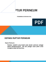 Ruptur Perineum