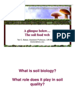 A Glimpse Below The Soil Food Web: Teri C. Balser, Assistant Professor, UW-Madison