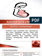 Kehamilan