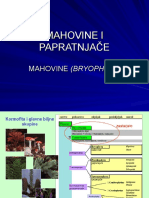 4mahovine I Papratnjac48de