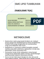 Kelompok 2 - Katabolisme Tga
